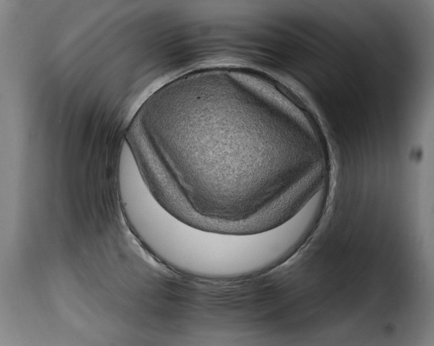 X0000115281337200911201743