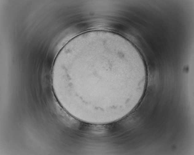 X0000115281338200911201743