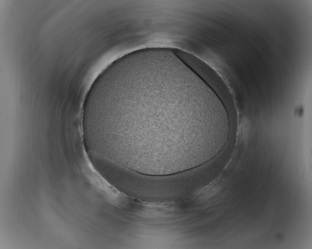 X0000115281342200911201743