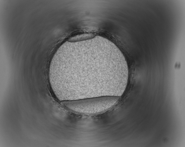 X0000115281345200911201742