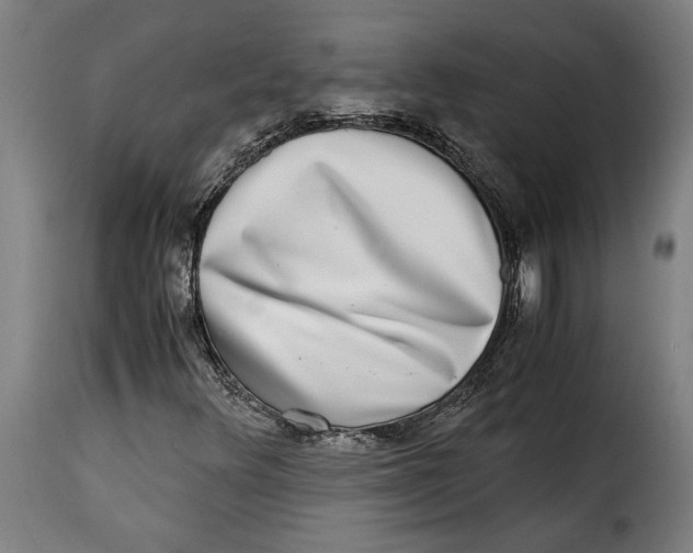 X0000115281348200911201742