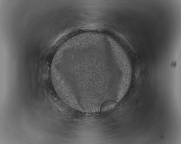 X0000115281350200911201742