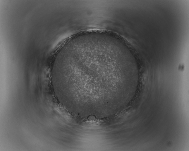 X0000115281351200911201742