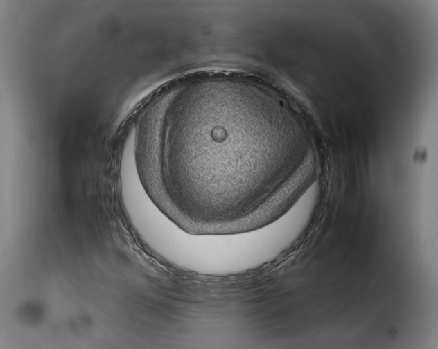 X0000115281352200911201742