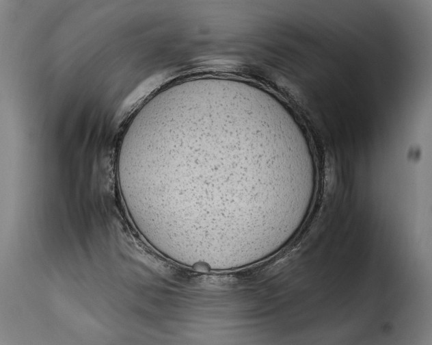 X0000115281354200911201742