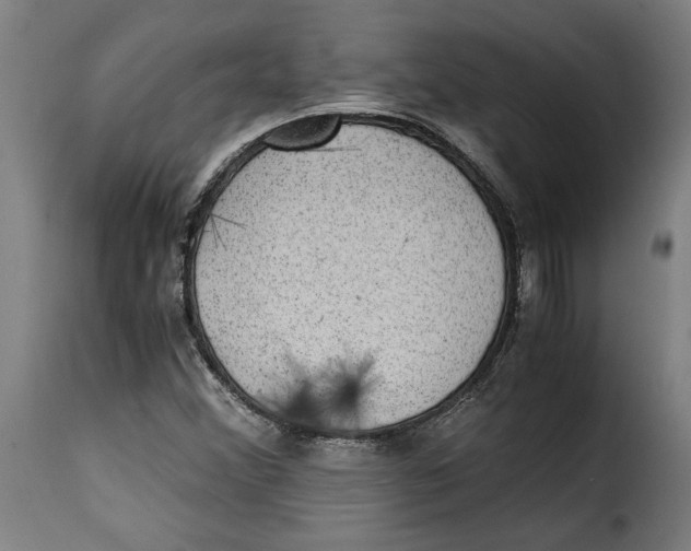 X0000115281356200911201742