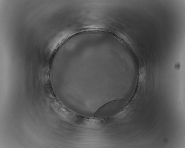 X0000115281357200911201742