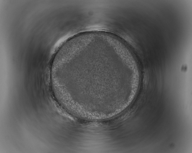 X0000115281358200911201742