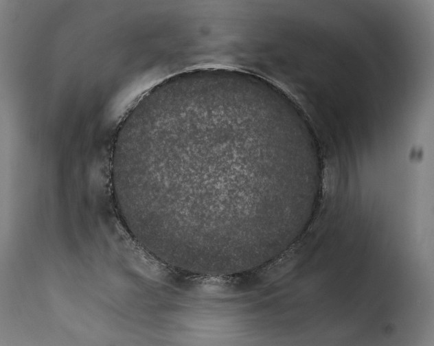 X0000115281359200911201742