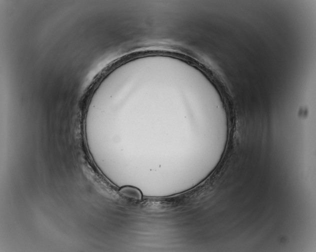 X0000115281360200911201742