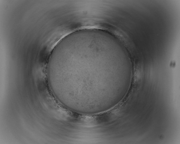 X0000115281361200911201742