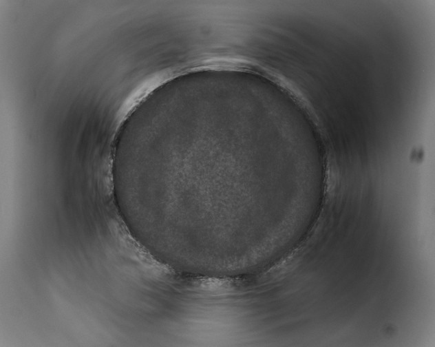 X0000115281362200911201742