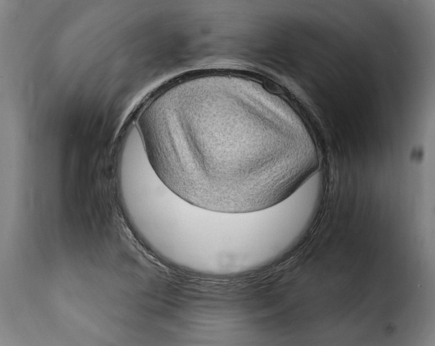 X0000115281364200911201742