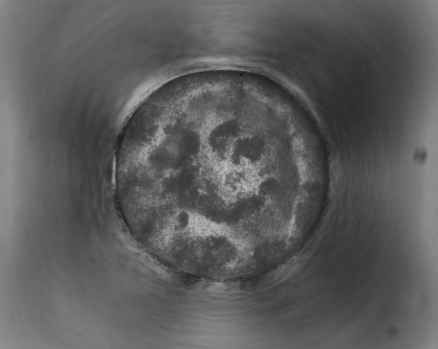 X0000115281365200911201742