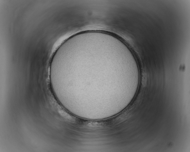 X0000115281366200911201742