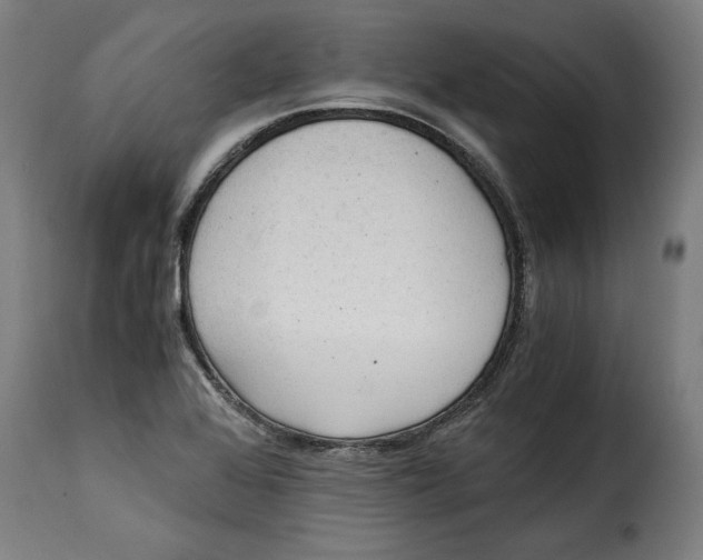 X0000115281368200911201742