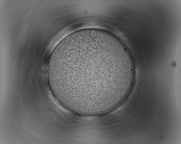 X0000115281369200911201742