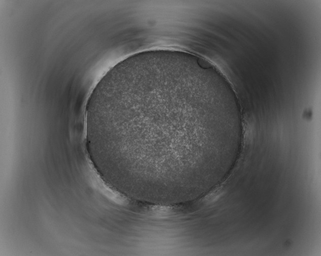 X0000115281371200911201742