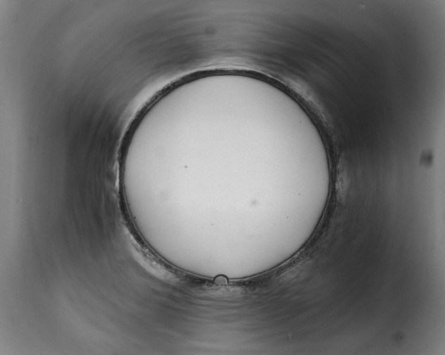 X0000115281372200911201742