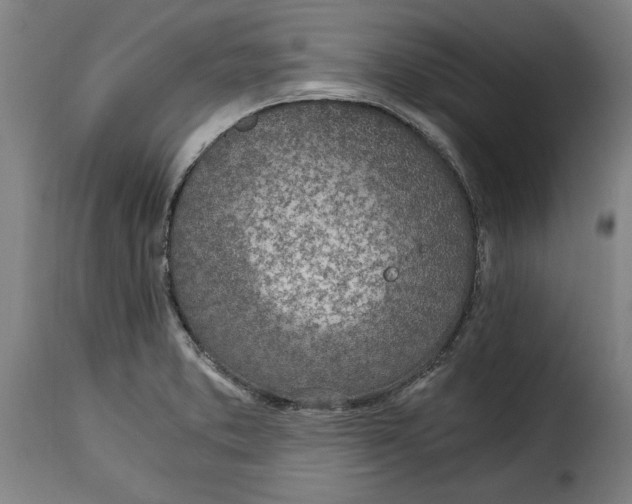 X0000115281373200911201742