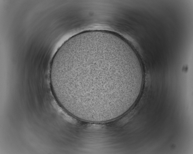 X0000115281374200911201742