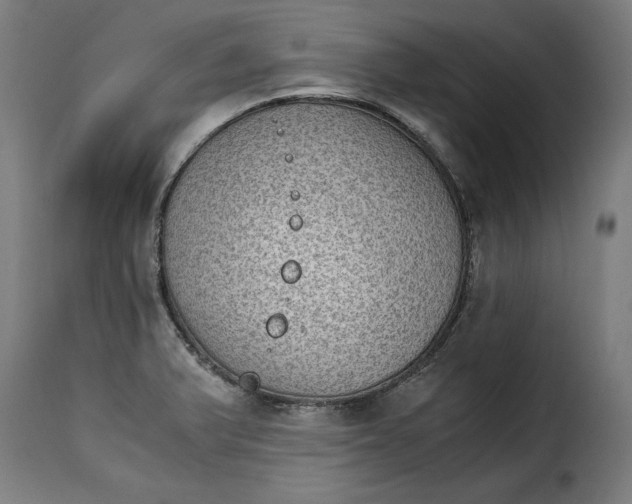 X0000115281375200911201742