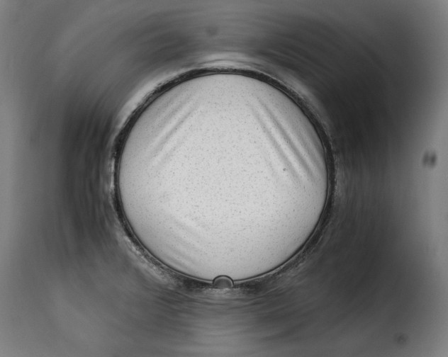 X0000115281376200911201742