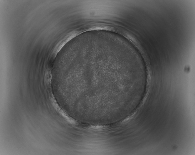 X0000115281377200911201742