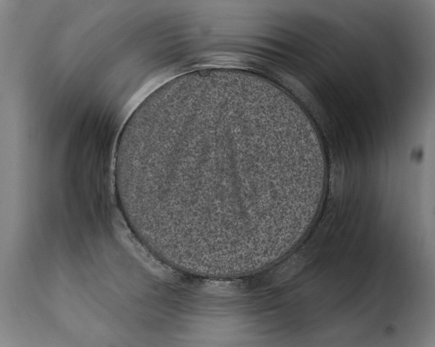 X0000115281378200911201742