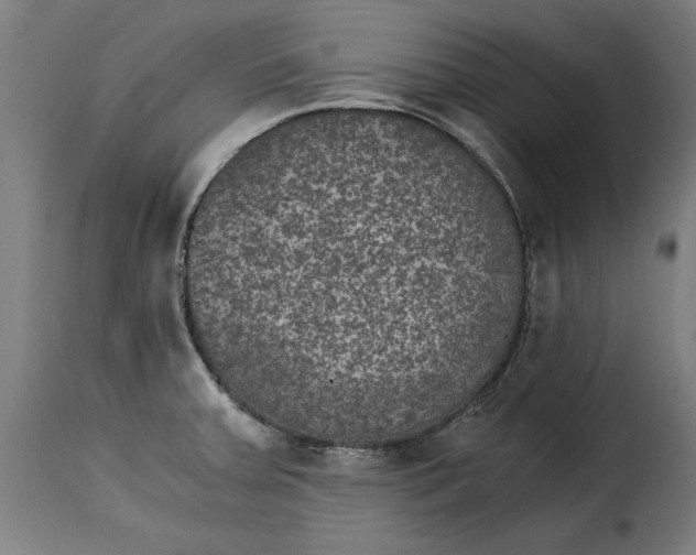 X0000115281379200911201742