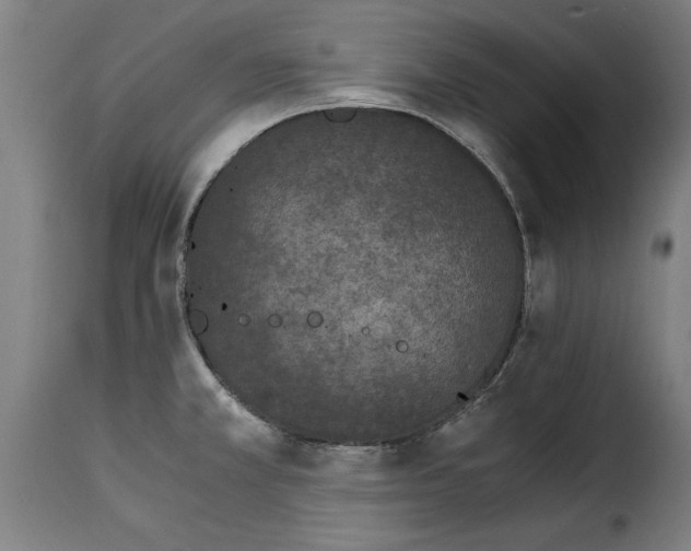 X0000115281381200911201742