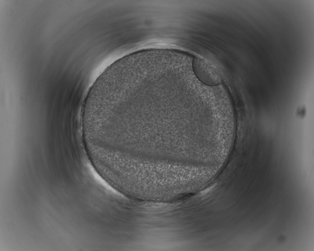 X0000115281382200911201742