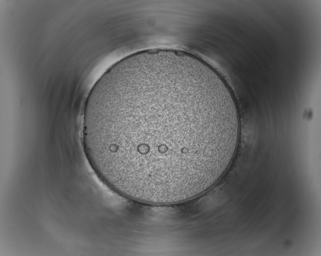 X0000115281383200911201742