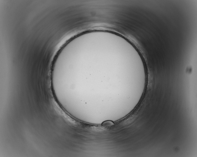 X0000115281384200911201742