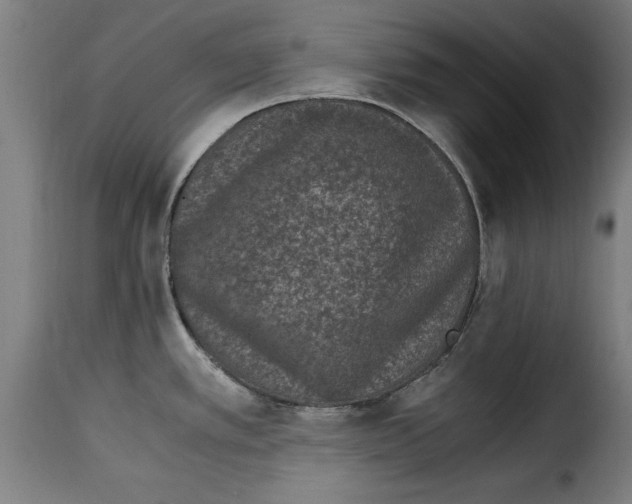 X0000115281389200911201741