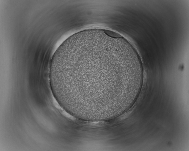 X0000115281390200911201741