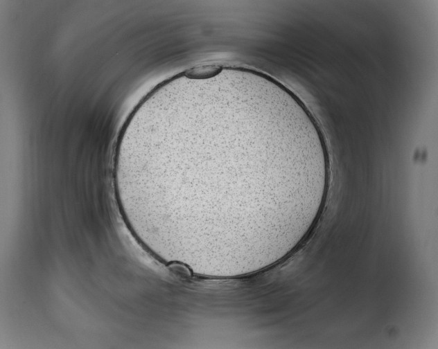 X0000115281392200911201741