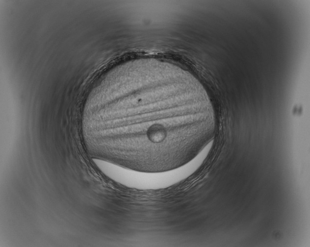 X0000115281393200911201741