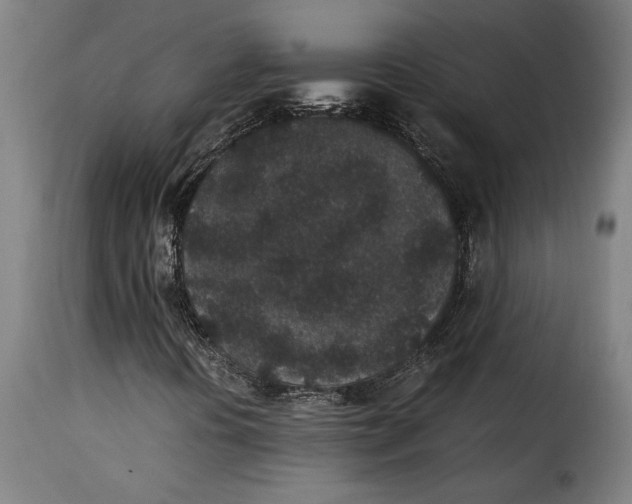 X0000115281394200911201741