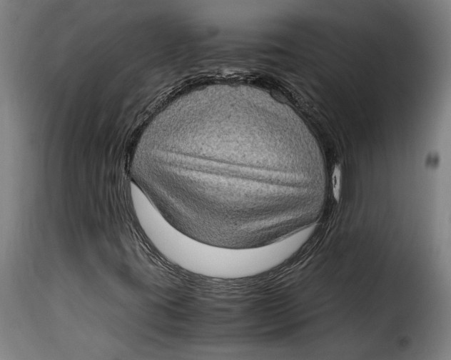 X0000115281395200911201741