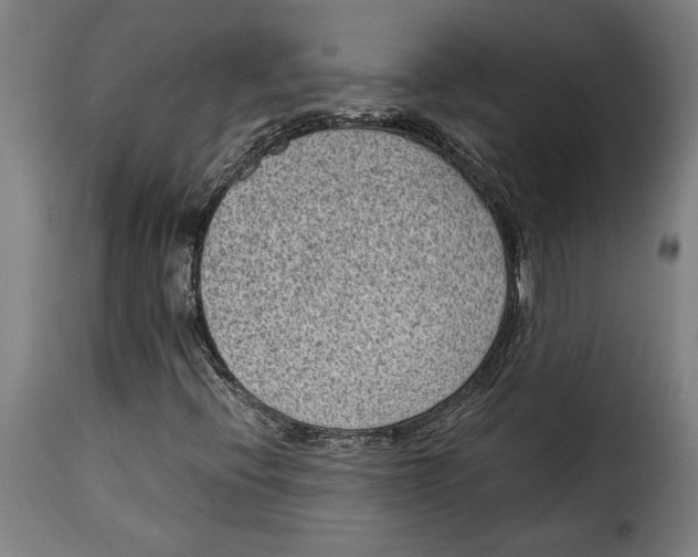 X0000115281396200911201741