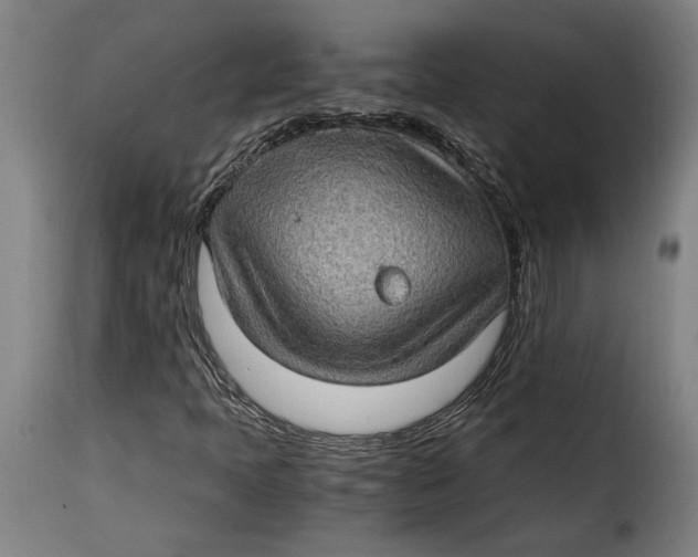 X0000115281397200911201741