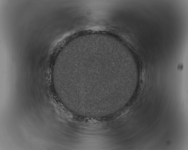 X0000115281398200911201741