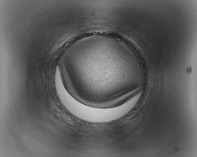 X0000115281399200911201741