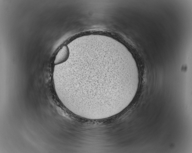 X0000115281400200911201741