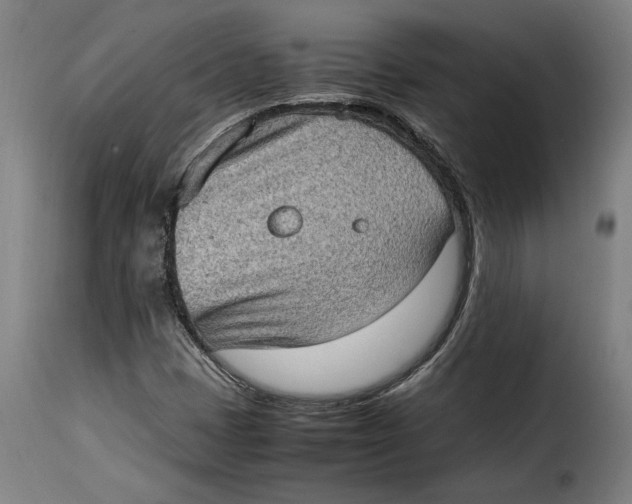 X0000115281401200911201741