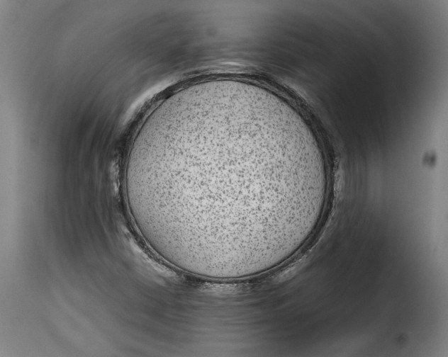 X0000115281402200911201741