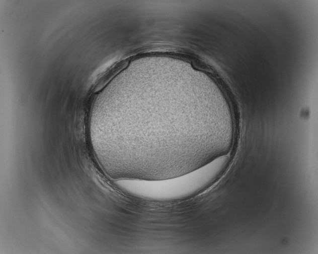 X0000115281403200911201741