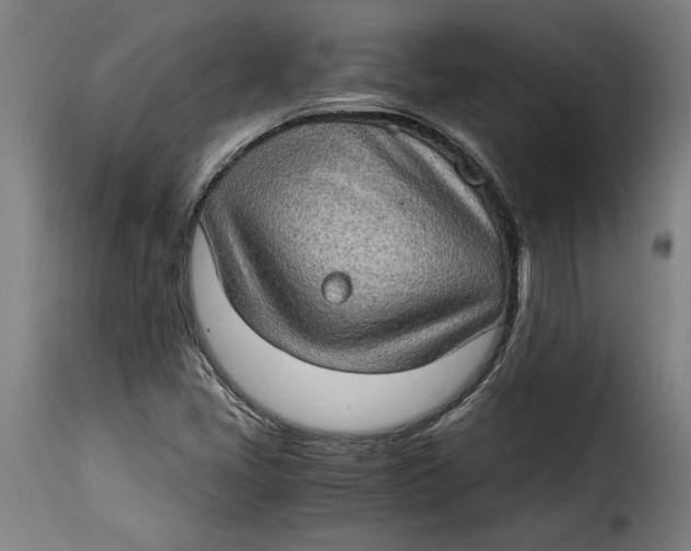 X0000115281405200911201741