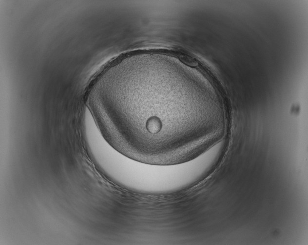 X0000115281407200911201741